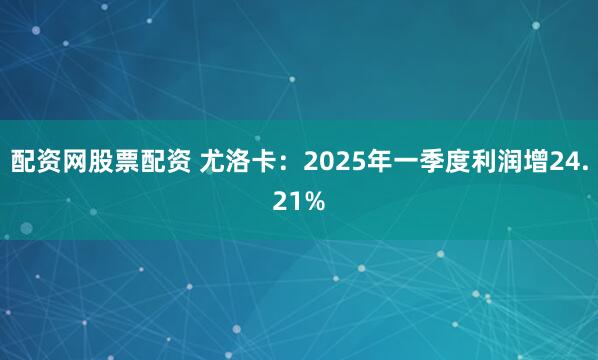 配资网股票配资 尤洛卡：2025年一季度利润增24.21%