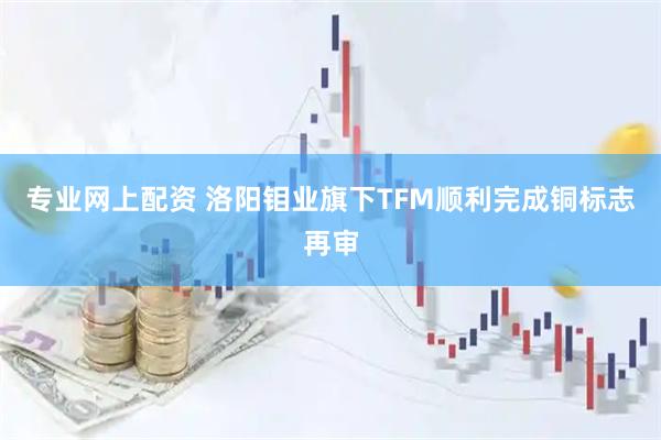 专业网上配资 洛阳钼业旗下TFM顺利完成铜标志再审
